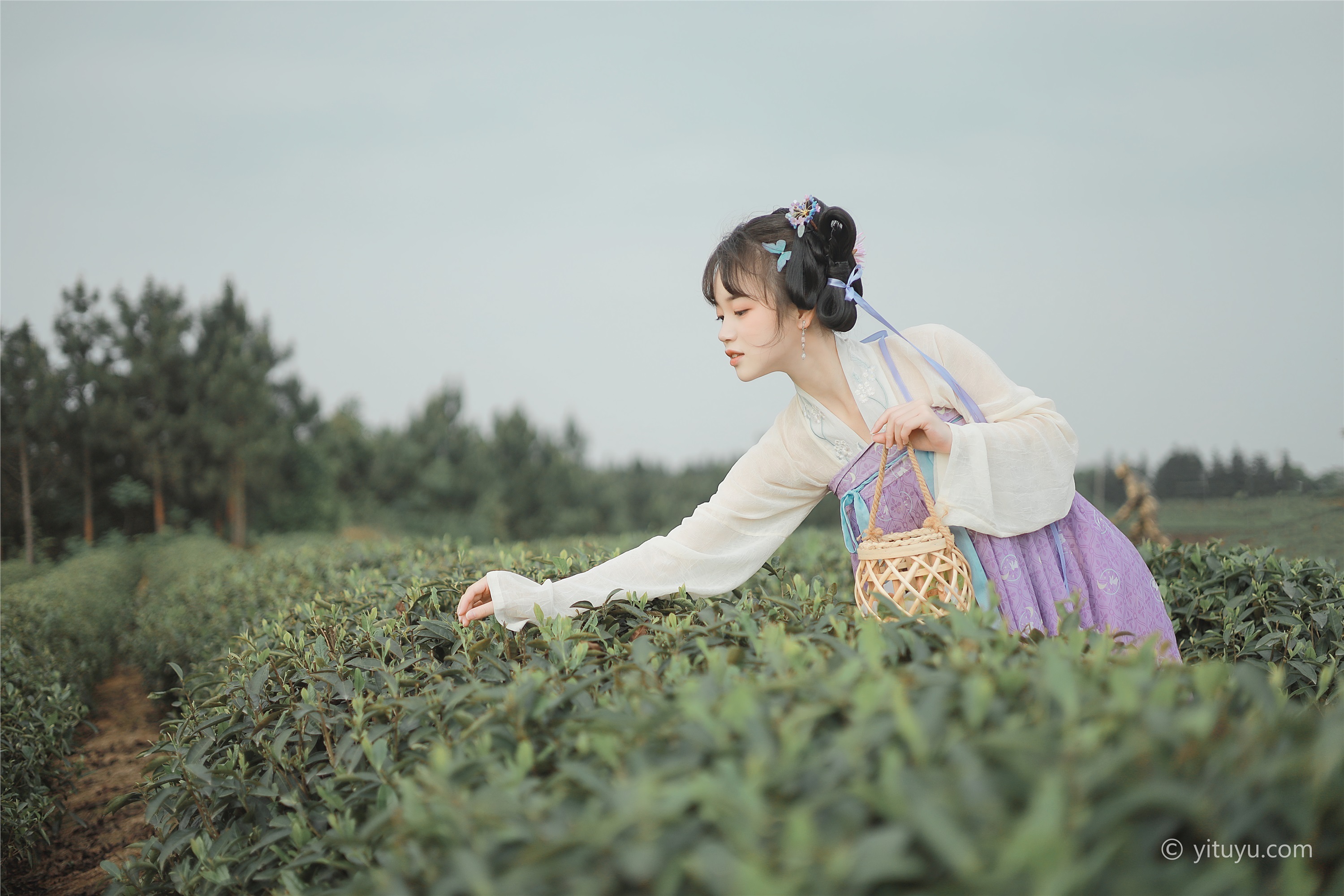 YITUYU艺图语  2021.06.02 青青白茶 柚子